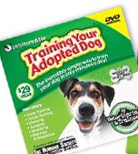 Training Your Adopted Dog/Training Your Adopted Dog